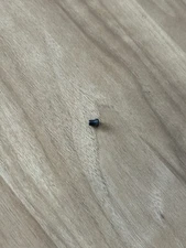 Winchester Model 12 Shotgun, Magazine Plug Screw, New old Inventory, W-1344