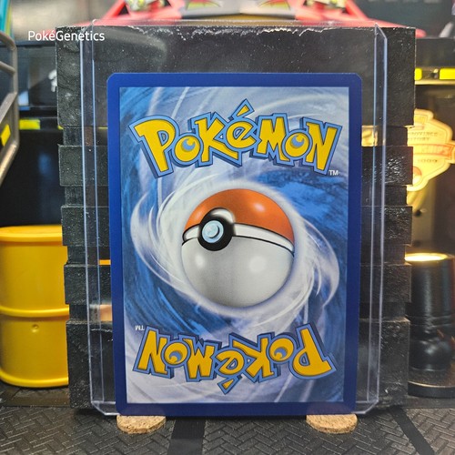 Houndoom Trick or Trade Scarlet & Violet Holo Promo Pokémon TCG 034/198 Common - Picture 5 of 6