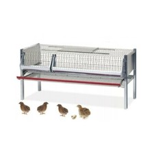 Gabbia x quaglie ovaiole mangiatoia e abbeveratoio Cm102x62x50h per 30/40 capi
