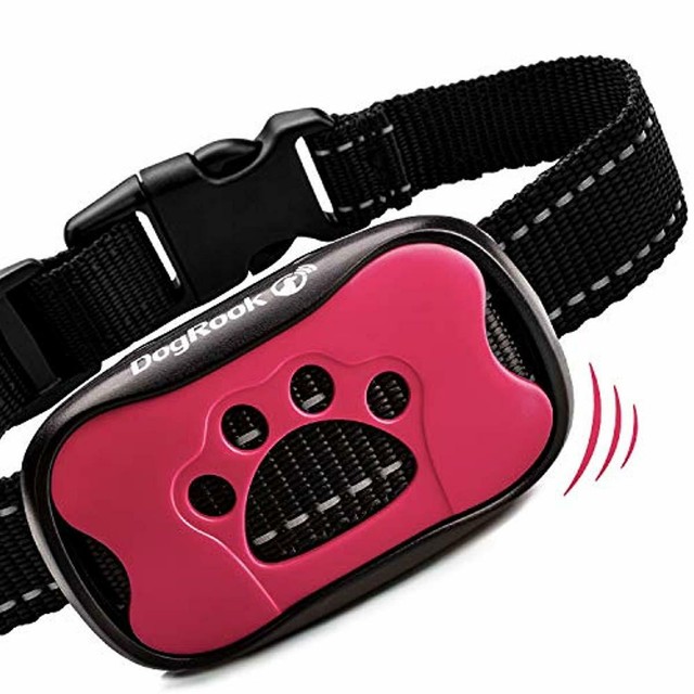 humane training collar