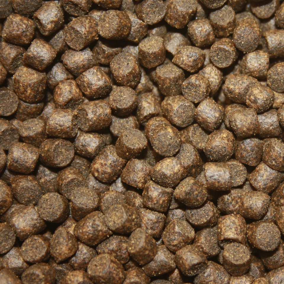 Winterfutter Koi, Betaglucan Koifutter, Sinkfutter Immunsystem Koi 5mm 5kg - Bild 4 von 4