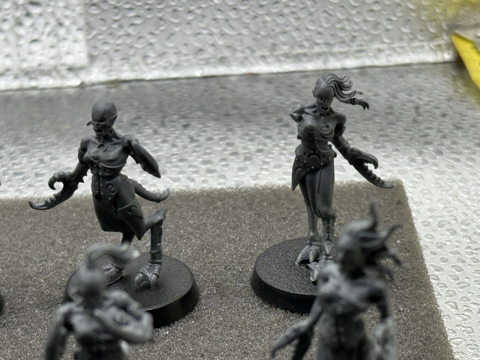 Picture 6 of 15