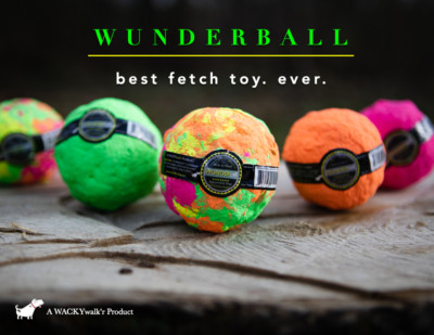 WUNDERBALL Best Dog Ball Fetch Toy Cleans Teeth Floats Indestructible Wacky  4SZ