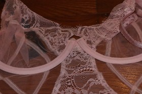 BNWT Dita Von Teese Muse Bustiere MSRP 195!!!