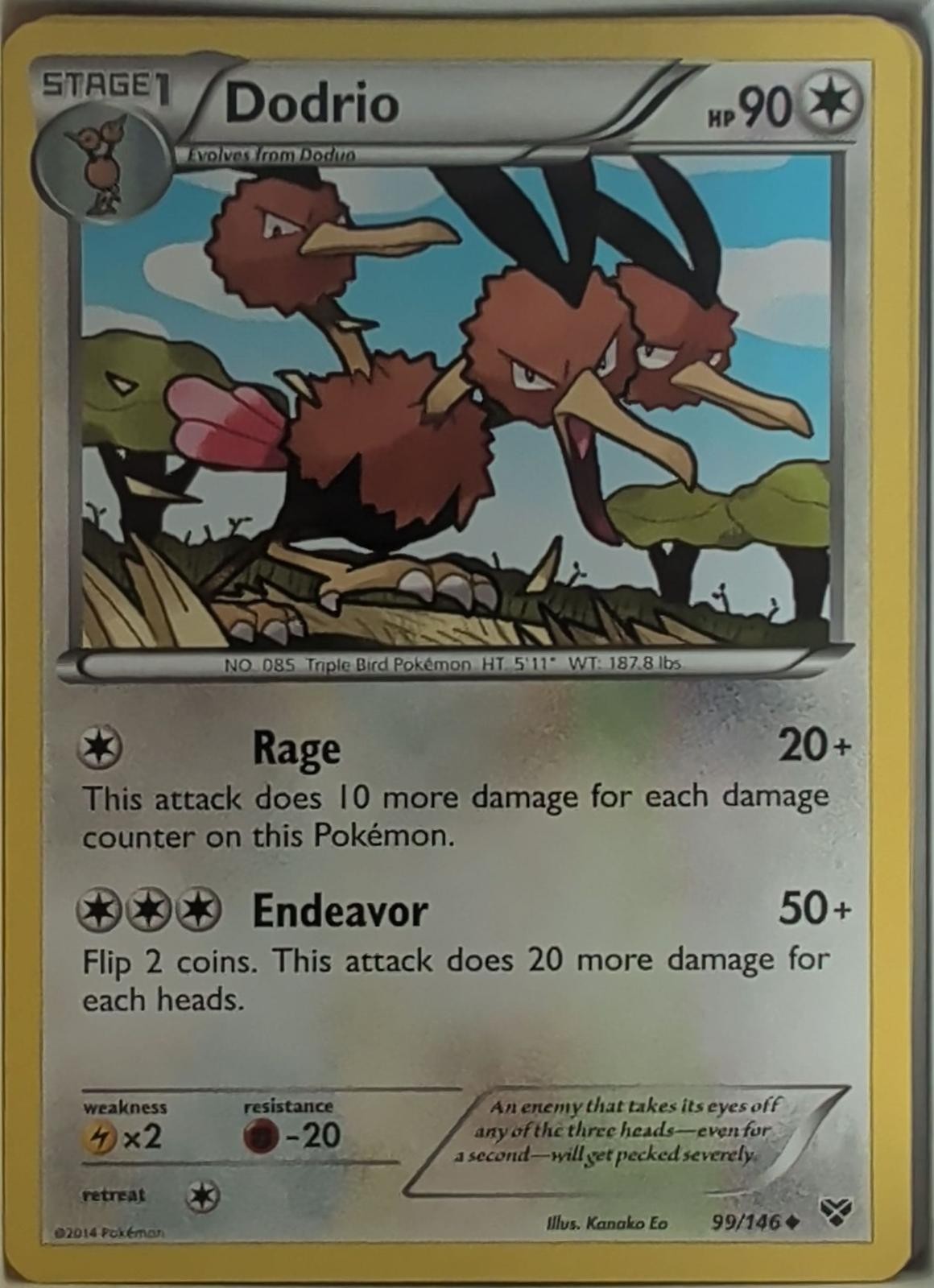 Dodrio 99/146 Uncommon XY Base Set Pokemon Lightly Played