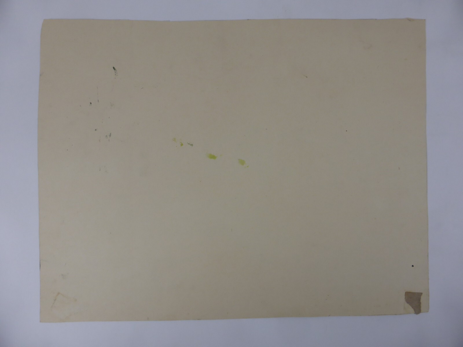 Picture 10 of 10