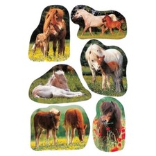 Haza oryginalne etykiety konie junior 3 łuki