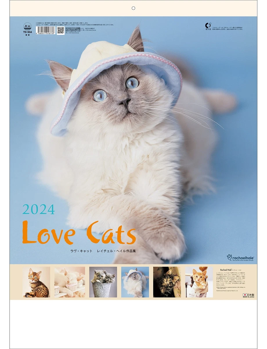 Rachael Hale Cat Calendar 2024 Bevvy Chelsie