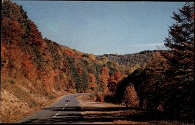 Richwood West Virginia Monongahela Natl Forest autumn leaves vintage postcard