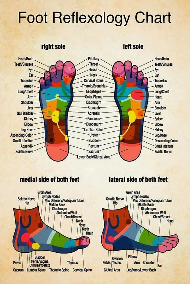 Massage Therapist Foot Reflexology Chart 1 Poster, Vintage Poster - Image 2 of 4