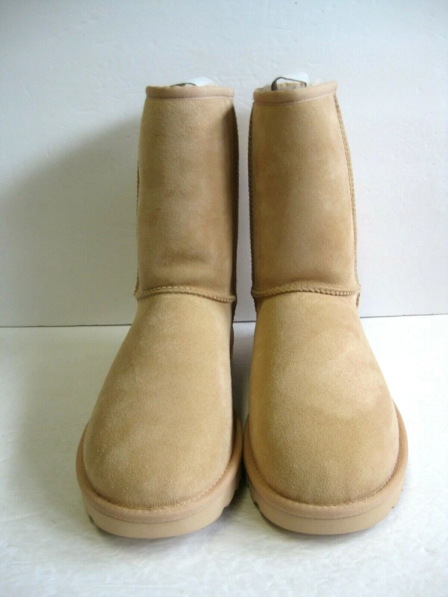 Ugg classic short best sale amberlight
