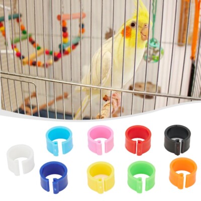 Wiederverwendung Küken-Ringe 100Pcs 8mm Klammer Geflügel Bein Verkauf Neueste
