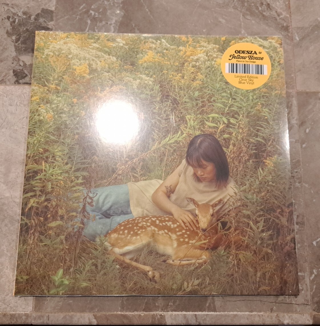 Flaws In Our Design LP Vinyl (Limited Edition, Blue)