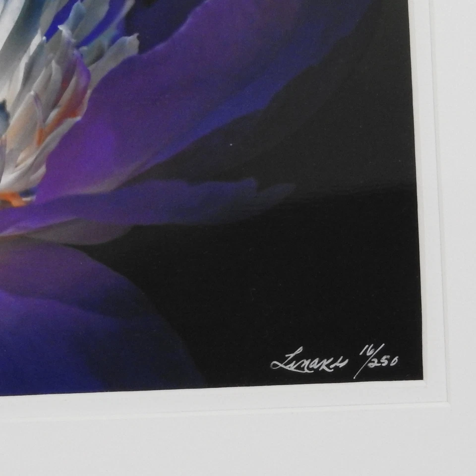 Perfecto #16 de 250 18"x24" Color Fotografía Profesional Marco Mat Flor Foto 3 de 4