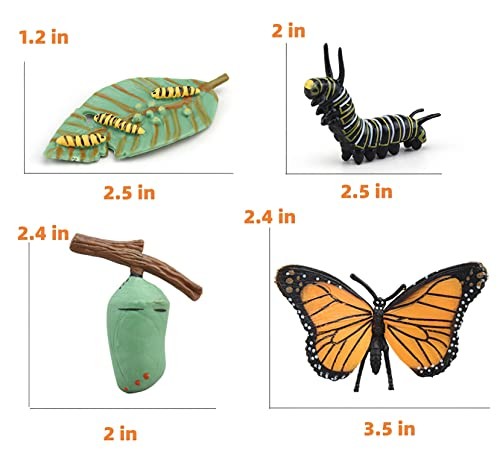Montessori Life Cycle Animal Figures with Flash Cards, Realistic Animal Plant