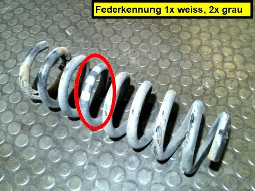 Hinterfeder Rechts Mercedes-benz E 240 T 210 12 Monate Garantie Sofortversand