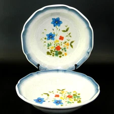 2 Scalloped Soup Bowls 8" Mikasa Country Club Fresh Cuttings CA506