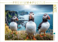 Puzzle Calvendo Sur La Falaise Abrupte | 1000 PièCes, Format Assemblé 64 × 48 Cm