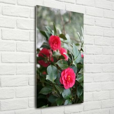 Wand-Bild Kunstdruck aus Hart-Glas Hochformat 70x140 Kamelie