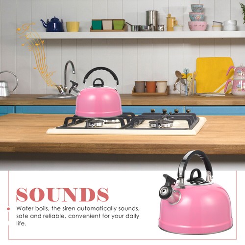 Camping Tea Kettle Boiling Water Heating Pot Gas Teapot Whistling - Picture 12 of 12