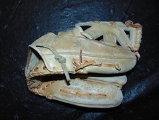 Vintage 1966 Ted Williams Hall of Fame Sears Model Baseball Glove RHT