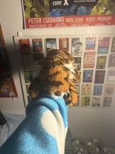 Jellycat Little Tia Tiger Retired New Without...