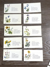 RARITÄT  10 Bestimmungskarten  zum Service Krautheim Wiesengrund und Bergeshöhn 