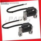Fit Briggs & Stratton 499447 592846 691060 799651 IGNITION COIL 2-Pack
