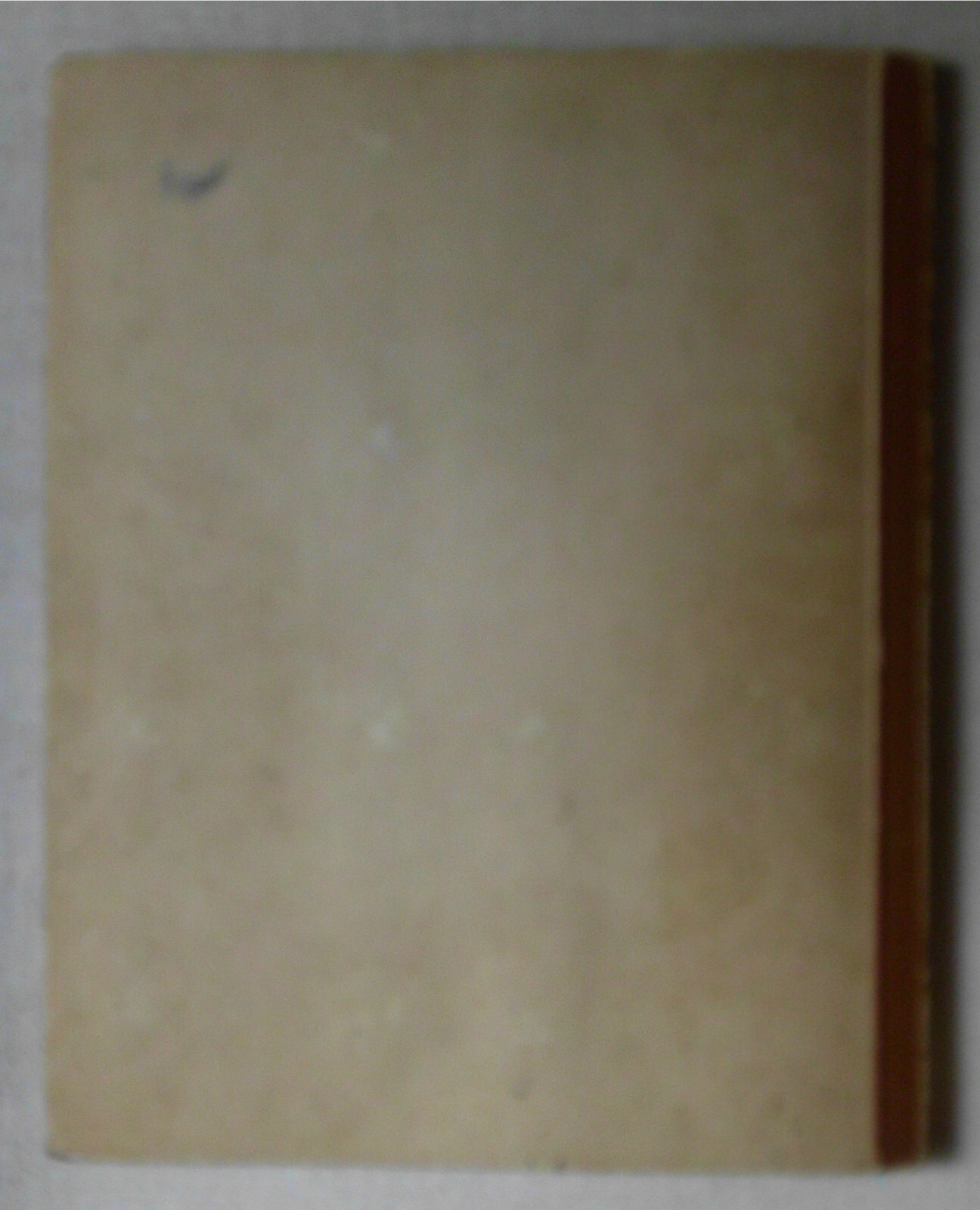 Bild 4 von 4
