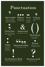 Punctuation Grammar and Writing Green Classroom Poster 12x18