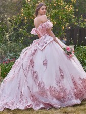 Pink Beaded Lace Appliques Quinceanera Dresses Off Shoulder Ball Gown Sweet 15