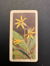 BROOKE BOND RED ROSE TEA CARDS - SERIES 3 - WILD FLOWERS OF NORTH AMERICA