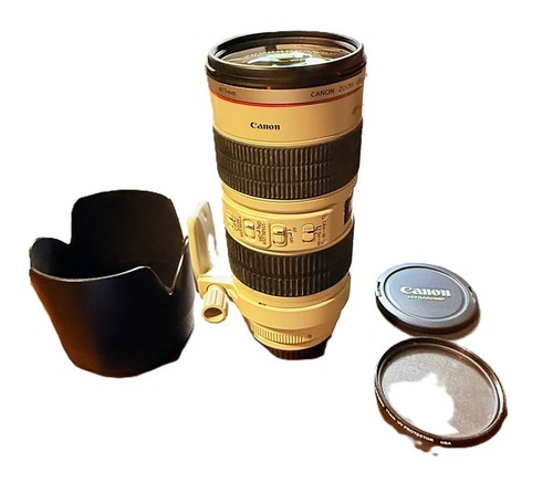 Objectif Canon EF 70-200mm F/2.8 – Monture EF – Occasion Bon état