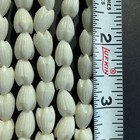 Picture 16 of 19