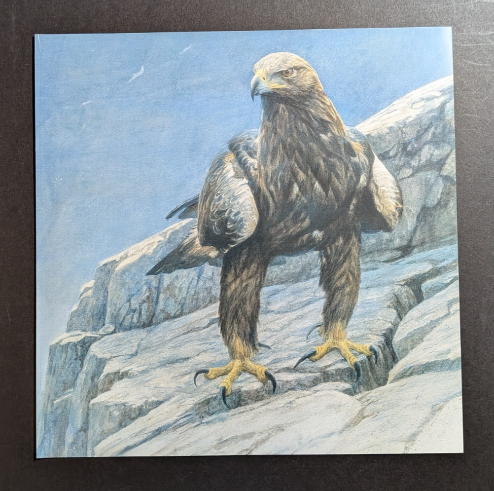Picture 3 of 4