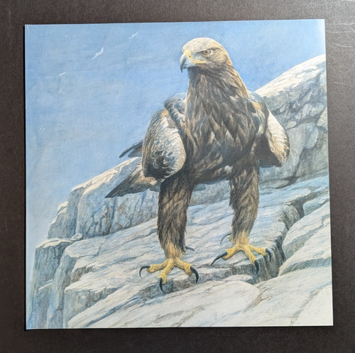 Robert Bateman GOLDEN EAGLE Vintage Wildlife Book Plate Art Print 7 - Picture 3 of 4
