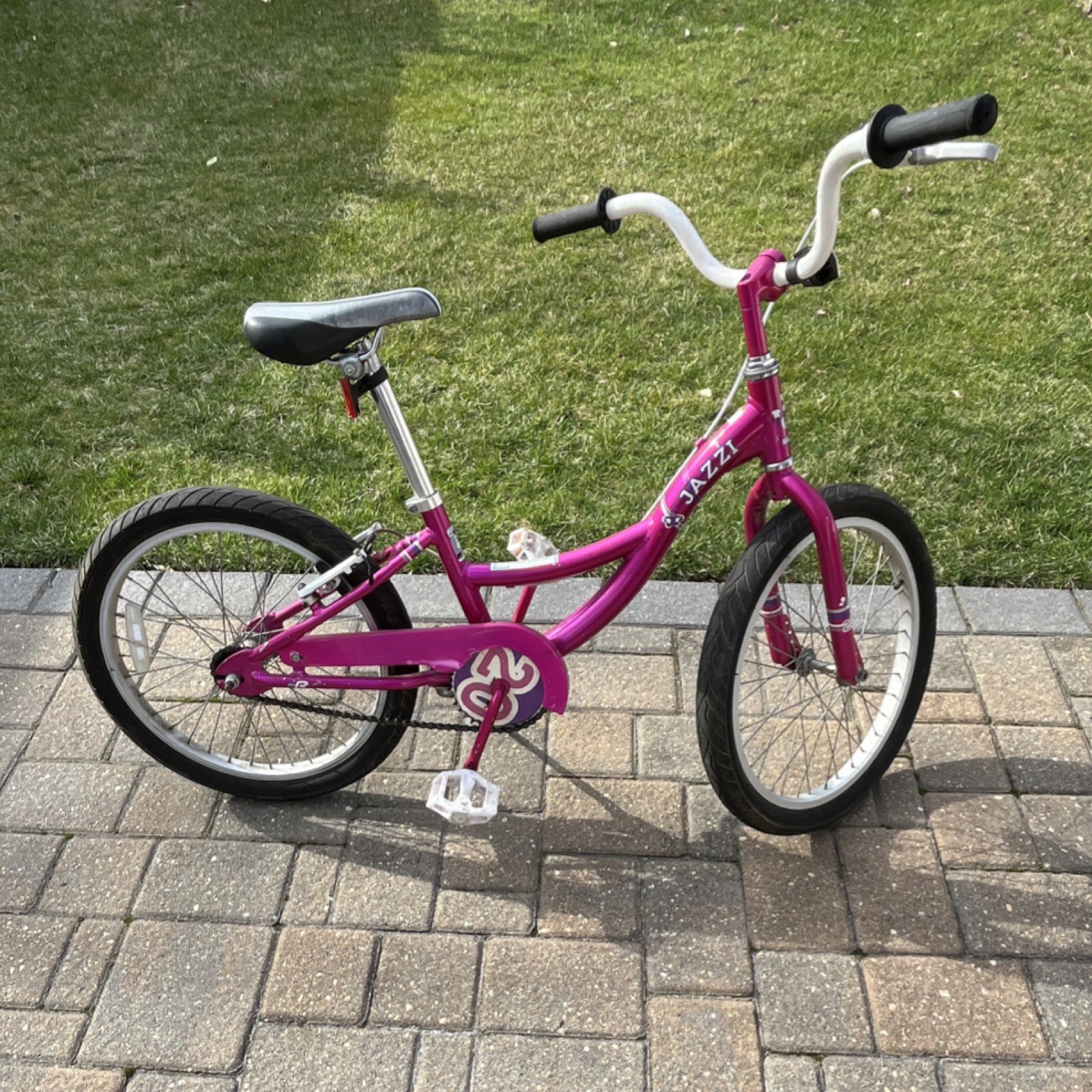 Raleigh Jazzi 20in Kids Bike Pink White Girls Caliper Brakes Kickstand Steel
