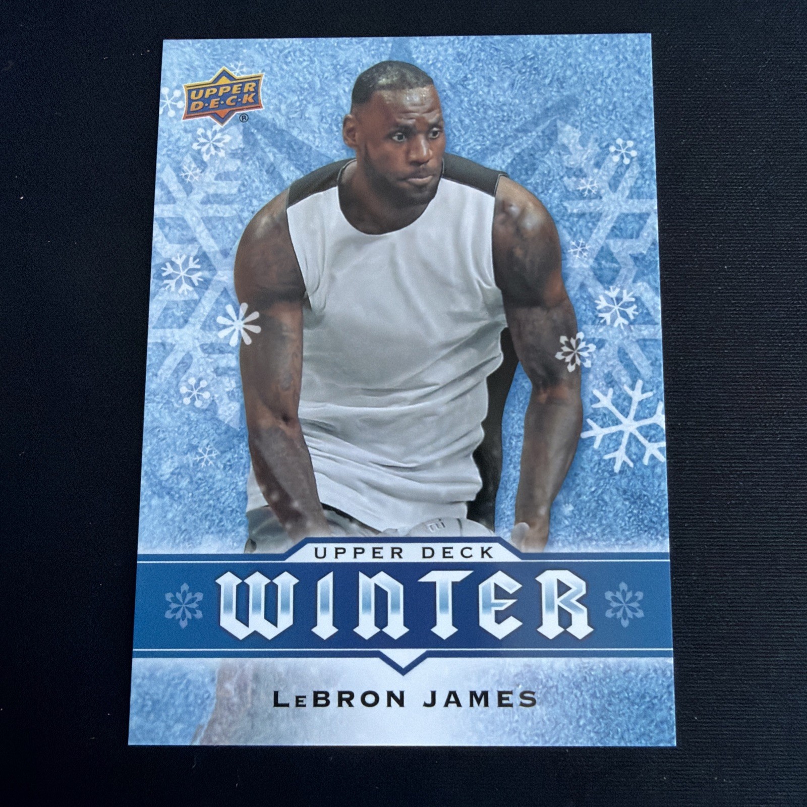 2017 Upper Deck Winter LeBron James #W2