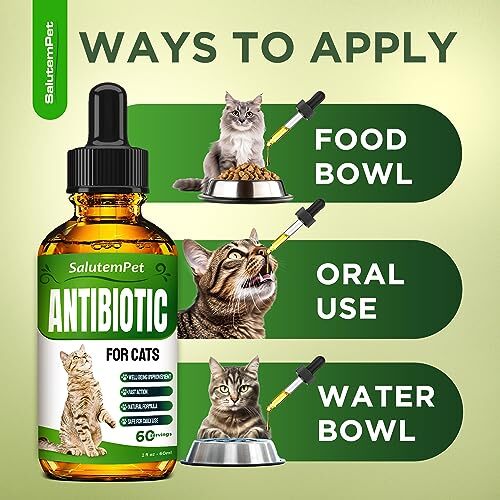 Natural Antibiotics for Cats Cat Antibiotics Supports Cat Allergy Relief eBay