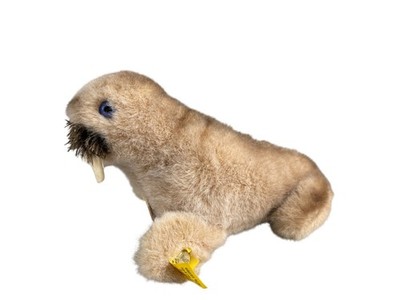 Steiff Tier 1474/10 - Wally Walross - 16 cm - Top  Zustand 