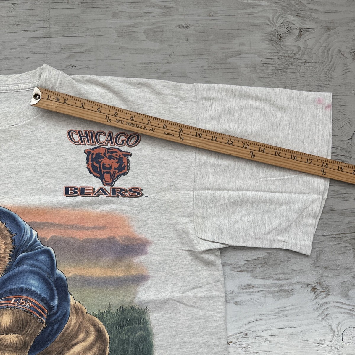 RARE Vintage 90s NFL Salem Chicago Bears football Graphic