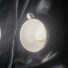 Villeroy And Boch Allegretto Cup And Saucer — photo 2