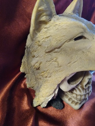 Indian Koitsenko Warrior Chief Lone Wolf Skull Statue Gothic Figurine Halloween - Picture 7 of 14