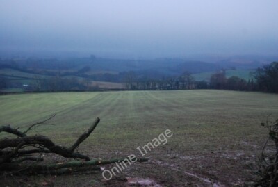 Photo 6x4 Field SW of Thorncombe Lane Chilcombe/ST1138 c2009 | eBay UK