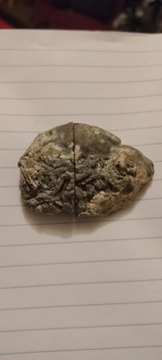 Split Geode Mineral Specimen with Crystal Interior Display Piece
