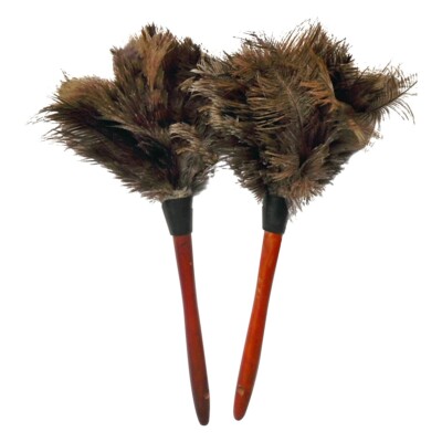 2Pcs Duster Brush Anti-static Ostrich Feather Wood Handle Cleaning Tool ...