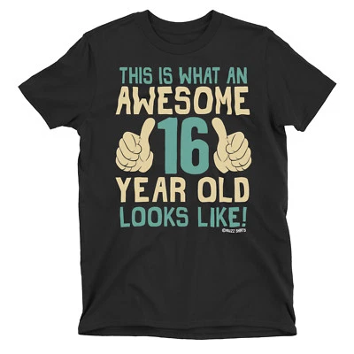 Teenager Boys 16th Birthday T-Shirt AWESOME 16 Year Old Gift Teen Top