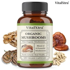 Gut Health Supplements Immune Support Improved Focus Increased Energy 30-120 CT