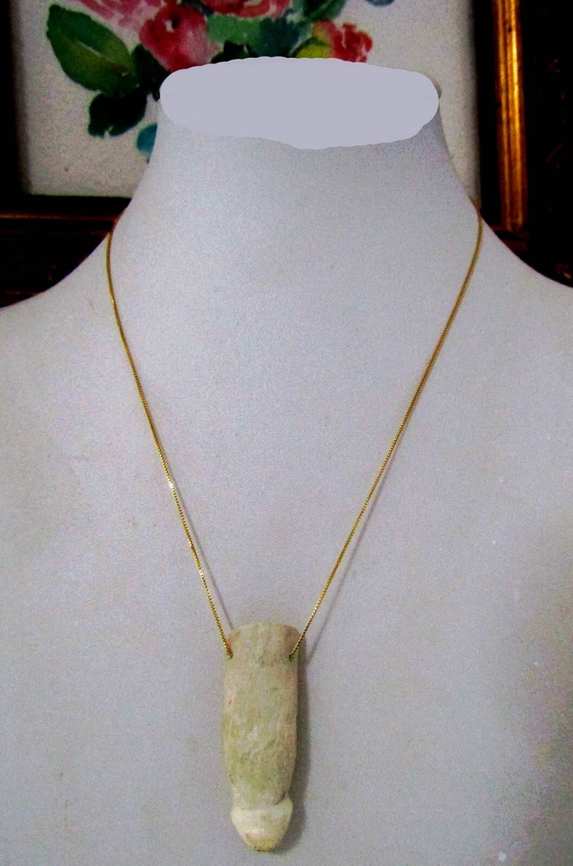 Impresionante diente de cocodrilo amazónico (molar) - plateado dorado - genuino Foto 4 de 4