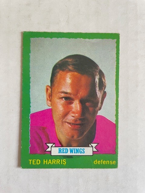 1973-74 O-Pee-Chee Set Break OPC #154 Ted Harris - Detroit Red Wings EX